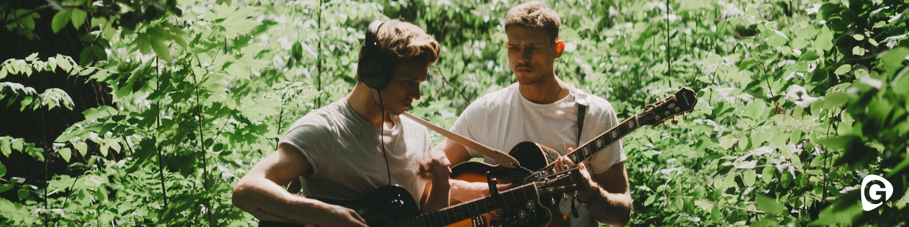 goedkope zanger boeken