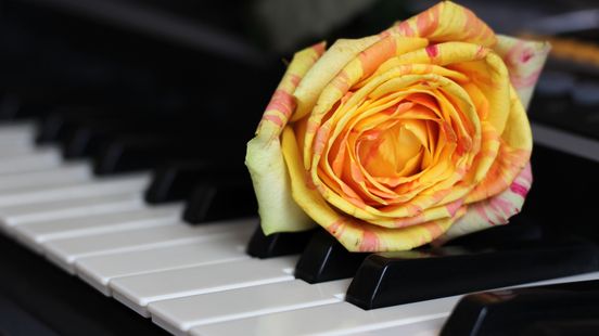 top 10 begrafenis liedjes