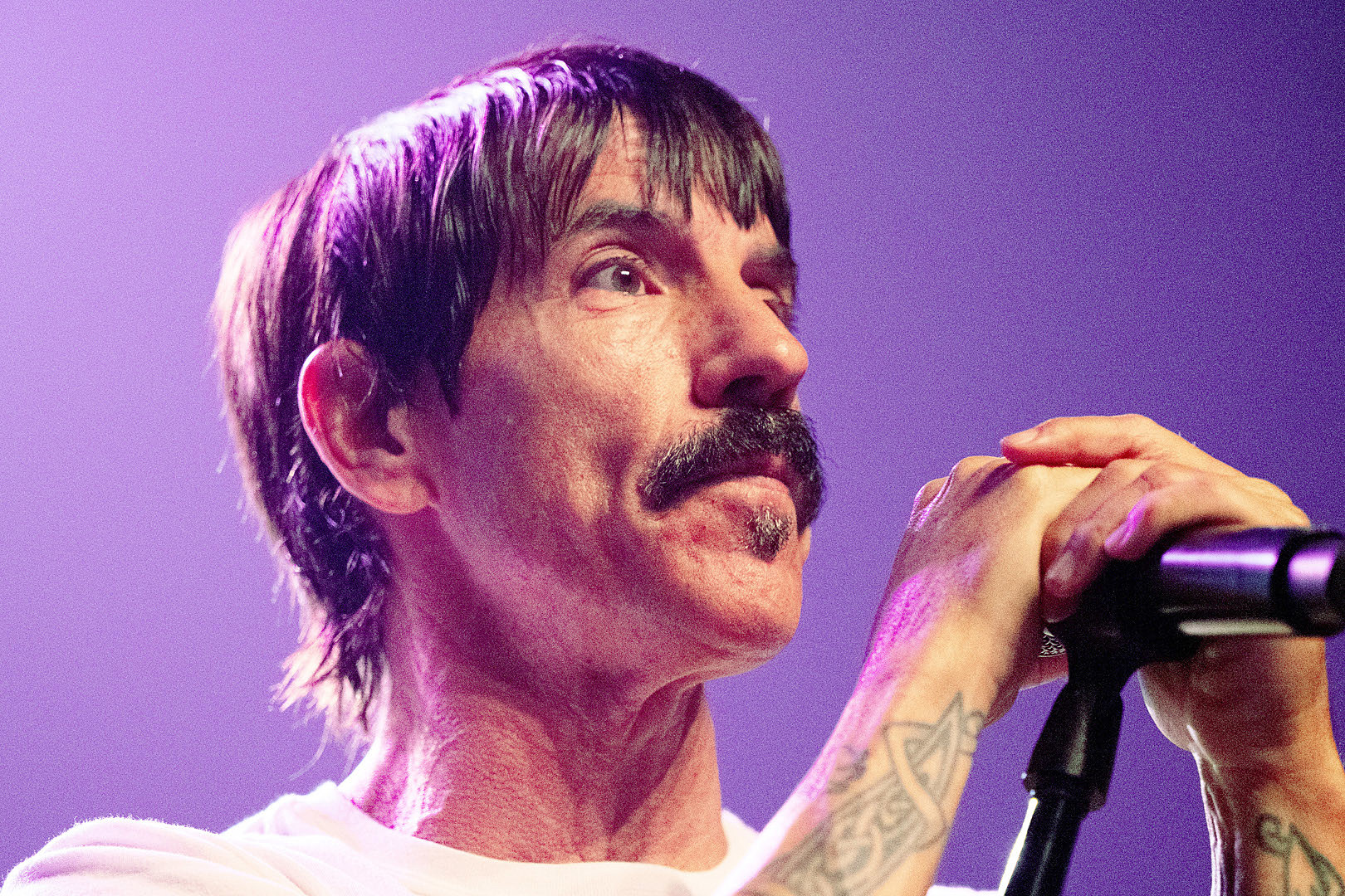 zanger red hot chili peppers