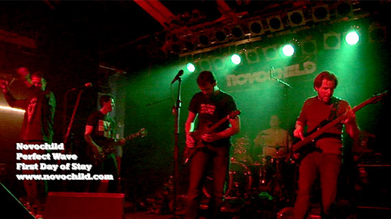 muziekvideo's